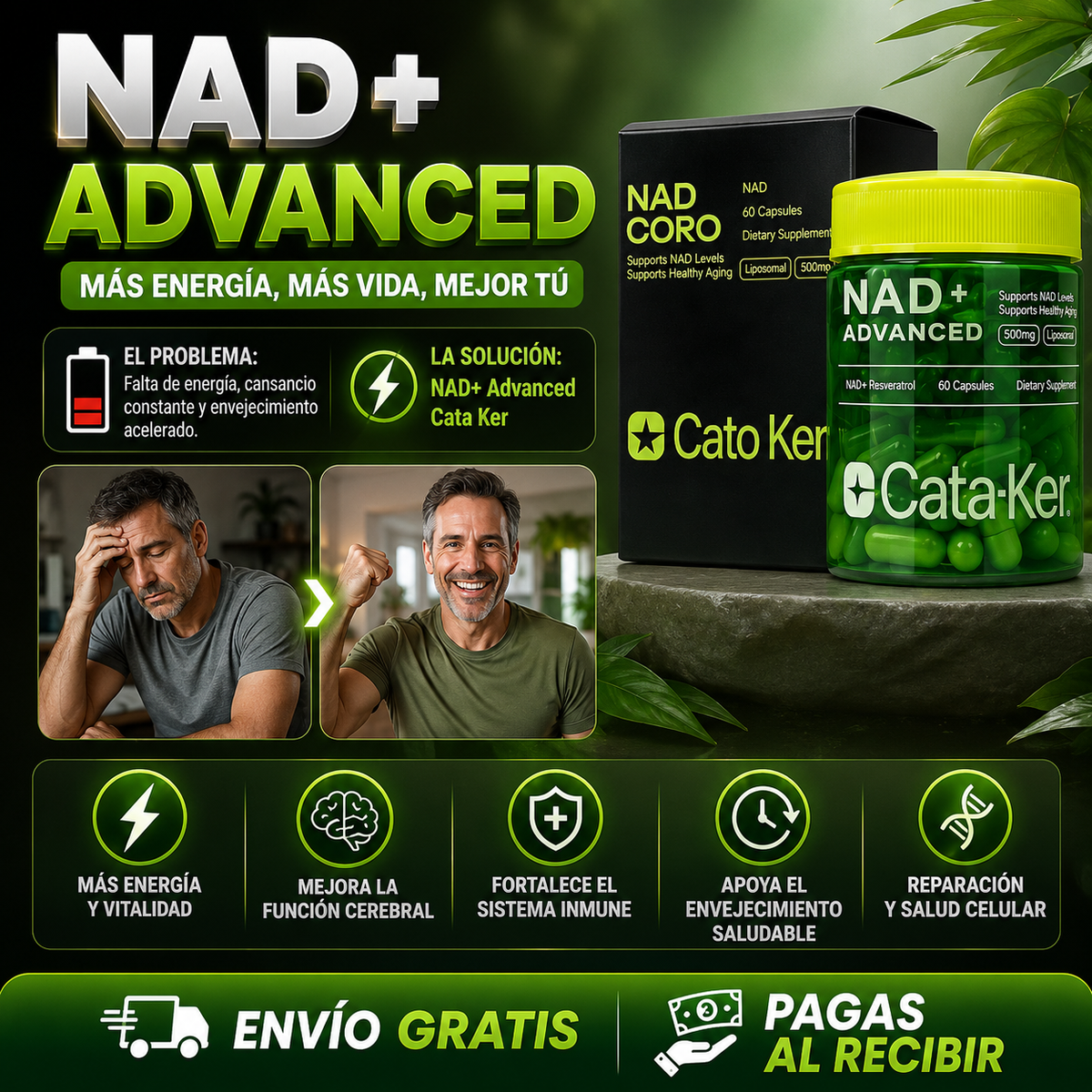 NAD + Advanced Cata Kor